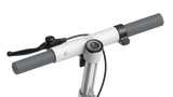 OKAI ES10 NEON Lite Standing Electric Scooter